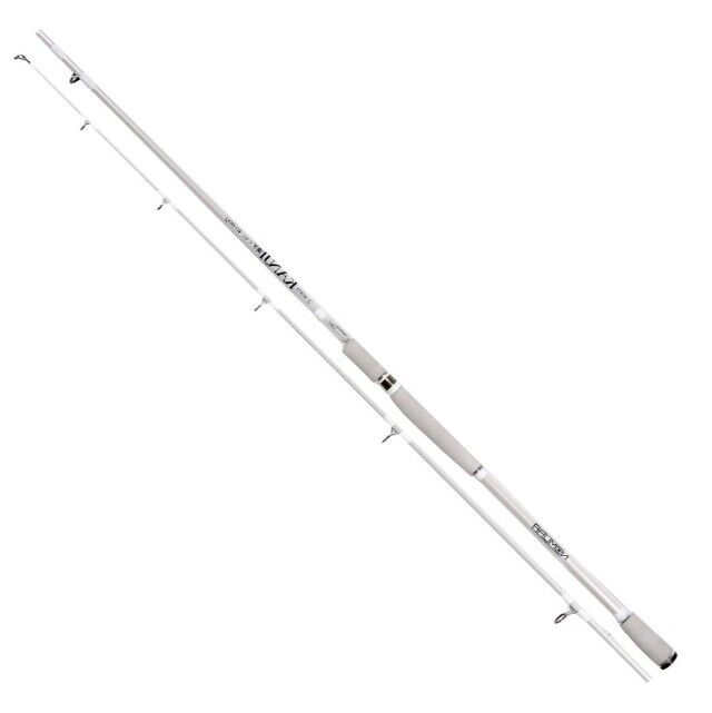 Nomura NM21209030 Kanji 300cm Shore Jig Kamış 40-80gr Atar